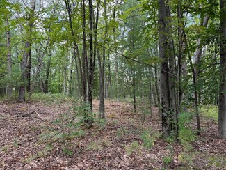 11337 N Caribou Trail, Elk Township, MI 49644