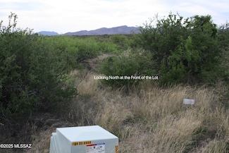 Lot 153 N Bear Run Unit 153, St. David, AZ 85630