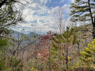 Lot 95 Doghobble Dr, Franklin, NC 28734
