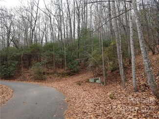 27 Alpen Rose Way Unit 4, Mills River, NC 28759