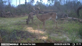 Omega Trail, Cottondale, FL 32431