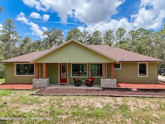 34335 Berryhill Dr, Webster, FL 33597