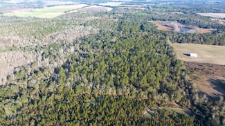 0 Logan Loop Rd Tract 4 Unit LotWP004, Malone, FL 32445