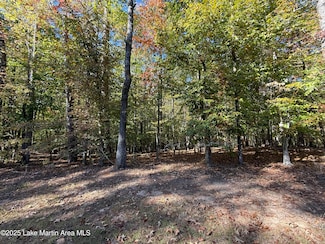 Lot 8 S Fern Ridge, Dadeville, AL 36853