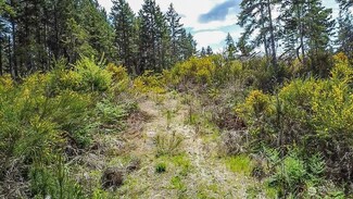 0 E Jennifer Ln Unit NWM2374372, Shelton, WA 98584