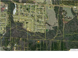 0 Tom Taylor Rd Unit 102837, Northport, AL 35473