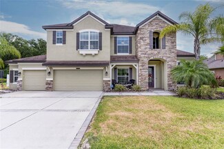 3236 Watermark Dr, Wesley Chapel, FL 33544