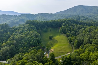 111 J D Whitehead Rd, Roan Mountain, TN 37687