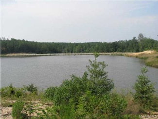 2624 Hannah Dr, Deatsville, AL 36022