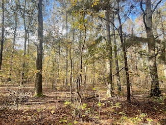 0 Us Highway 331 Unit 19728677, Ramer, AL 36069