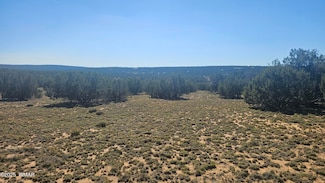 0 Cr 8065 Unit 256333, Concho, AZ 85924