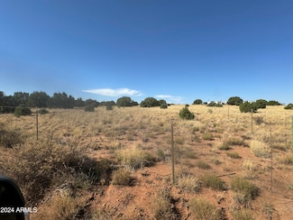 4482 Apache Rd Unit 237, Snowflake, AZ 85937