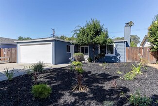 3115 Franela Dr, San Jose, CA 95124
