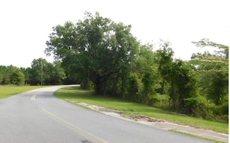 0 NW Hall of Fame Dr, Lake City, FL 32055