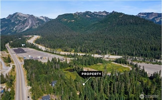 13 Snoqualmie Village Dr, Snoqualmie Pass, WA 98068