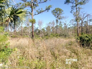 217 Pigeon Ave, Sebring, FL 33870