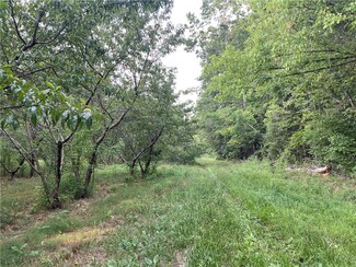 00 Cassidy Bridge Rd, Mountain Rest, SC 29664