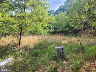0 Piedmont Rd, Keyser, WV