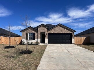 1007 River Coral Dr, Alvin, TX 77511