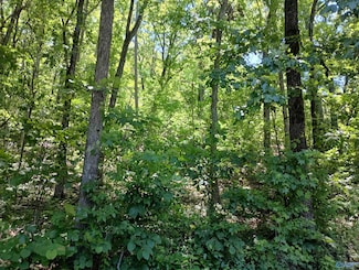 386 Creekview Dr, Rainbow City, AL 35906