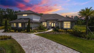 17305 Ballmont Park Dr, Odessa, FL 33556