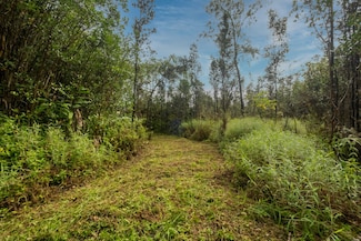 0 Pikake St Unit 725043, Mountain View, HI 96771