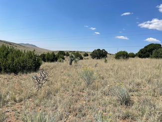 191 Kirkland Rd, Silver City, NM 88061
