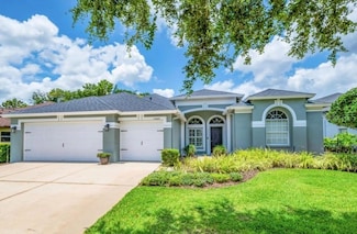 15309 Palomapark Ln, Lithia, FL 33547