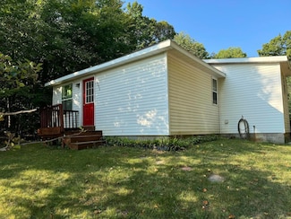 6046 Reams Rd, Alanson, MI 49706