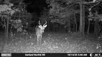 000 Old Dolph Rd, Pineville, AR 72519