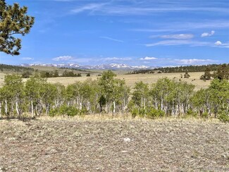 226 Ruby Gulch Rd, Hartsel, CO 80449
