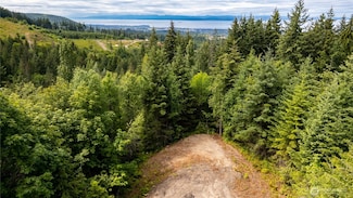 9999 S Old Mill Rd, Port Angeles, WA 98362