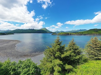 0 the Point 5a Cliff Point Rd Unit Lot 11175676, Kodiak, AK 99615