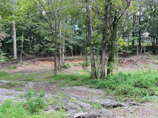 Lot 59 Champion, Gilbertsville, KY 42044
