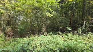 00 Blue Friday Rd, Gray, TN 37615