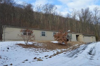 8292 Blue Mountain House Rd, Kempton, PA 19529