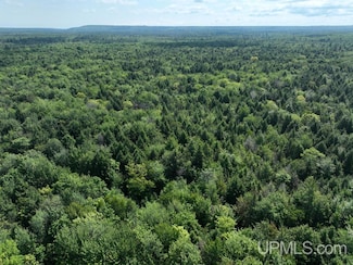 0000 Peter White Rd, Onota Township, MI 49822