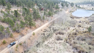 312 Marion St, Bailey, CO 80421