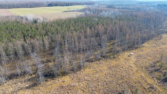 0 U S 45, Birnamwood, WI