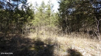 5.60ac James Lewis Ln, Riddleton, TN 37151