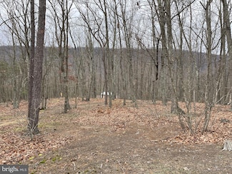 9.50 AC Bird Ridge Rd, Springfield, WV 26763