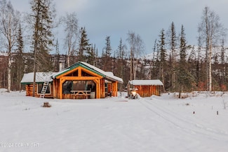 29161 N Parks Hwy, Trapper Creek, AK 99683