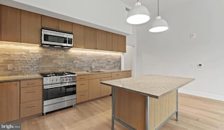 10511 Strathmore Hall St Unit B-3B-203, North Bethesda, MD 20852