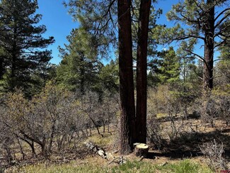 523 Oakridge Dr, Pagosa Springs, CO 81147