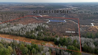TBD Highway 21, Embarrass Township, MN 55732