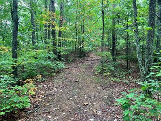 305 Stuples Hollow Rd, Craigsville, VA 24430