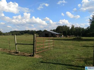 13626 State Highway 160, Nectar, AL 35049
