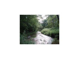 LOT 7 Forest Glen, Springville, IA 52336