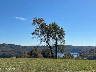41 Deer Trail, Lafollette, TN 37766