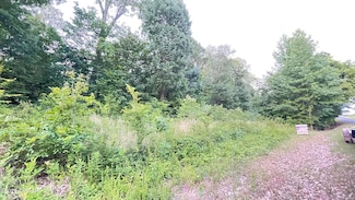 00 Oliver Chapel Rd, Bradford, TN 38316
